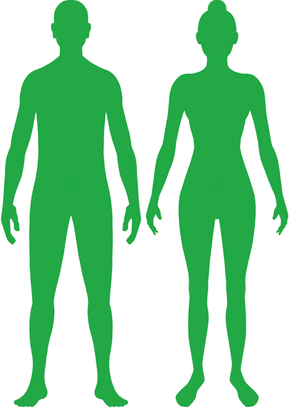 Normal Weight BMI Silhouette