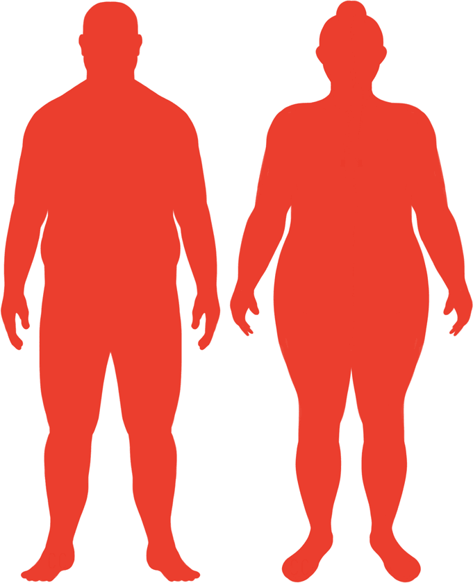 Obese BMI Silhouette